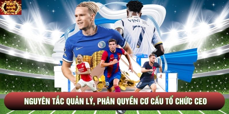 Nguyên tắc quản lý, phân quyền cơ cấu tổ chức CEO