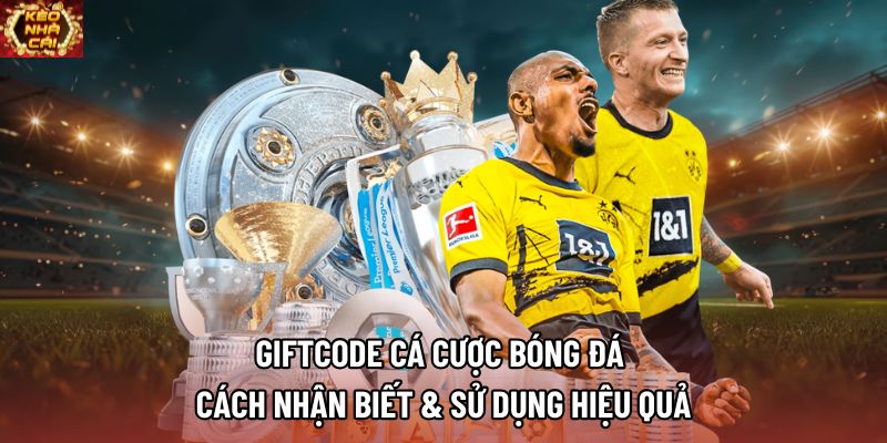 Giftcode Cá Cược Bóng Đá | Cách Nhận Biết & Sử Dụng Hiệu Quả
