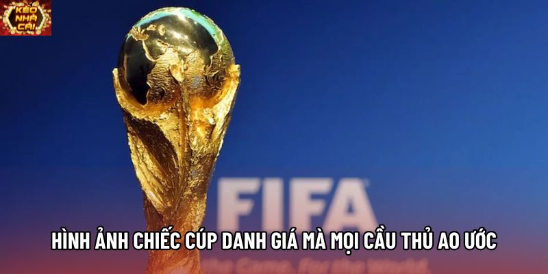 Hình ảnh chiếc cúp danh giá mà mọi cầu thủ ao ước