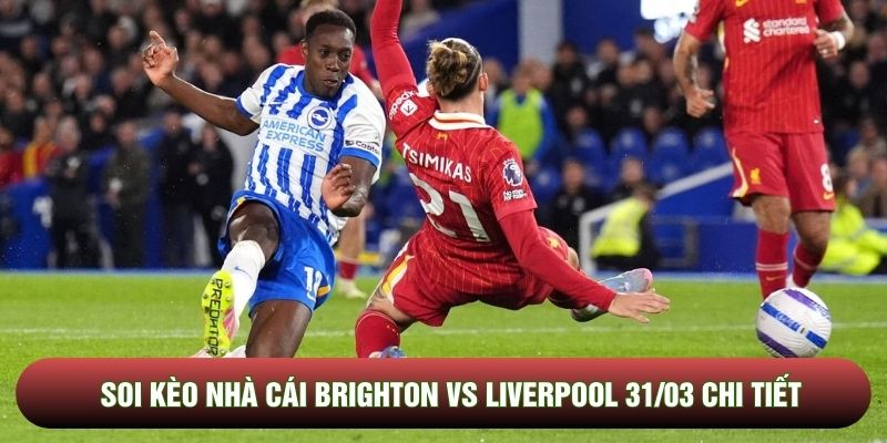 Soi kèo nhà cái Brighton vs Liverpool 31/03 chi tiết